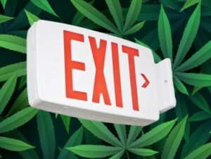 Arizona, Maryland, California, Massachusetts - Perché le grandi MSO della cannabis stanno chiudendo i negozi al più presto nei principali stati!