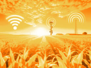 Sieć komórkowa czy Wi-Fi: co jest lepsze dla Twojego projektu IoT?
