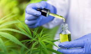 Does CBD Oil Cause Withdrawals