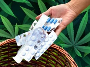 Werkt medische marihuana? - 9 van de 10 MMJ-patiënten verminderen het gebruik van medicijnen of alcohol, of beide, zegt nieuwe studie