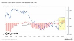 Le balene di Ethereum continuano a accumulare 9 giorni: rally dei prezzi di ETH in arrivo?