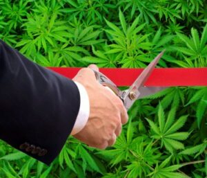 Europas første lovlige cannabisdispensator er indstillet til at åbne - Game Changer eller 'Meh'?