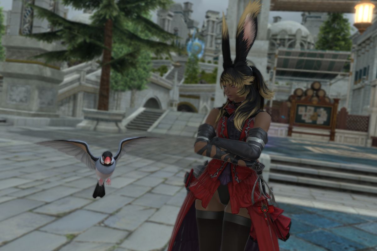 A Viera in red stares at a small sparrow in FFXIV.