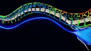 Гибкие оптические волокна доставляют свет к нервам для оптогенетического подавления боли