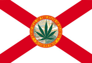 Pengadilan Florida Merenungkan Legalisasi Ganja