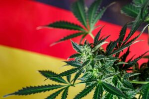 Німеччина дивиться квітень 2024 року на легалізацію канабісу