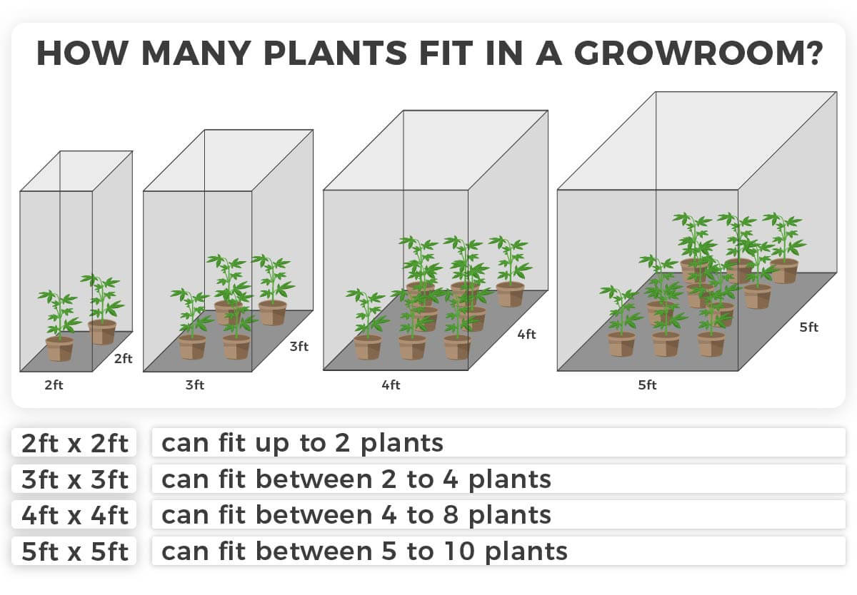 How to build a cannabis grow room