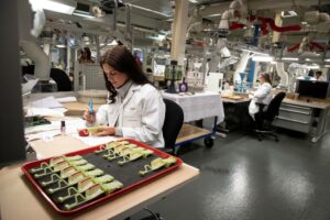 איטליה חוסמת את רכישת החברה של ספרן המעורבת בייצור יורופייטרס