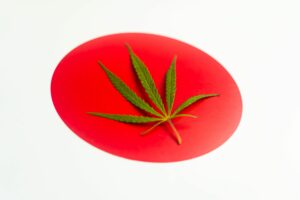 日本大麻种植者致力于振兴大麻产业