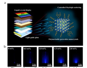 Nanotechnology Now - 보도 자료: 페로브스카이트 나노복합체 기반 도광판
