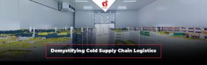 Navigeren door het gekoelde doolhof: demystificatie van de koude supply chain-logistiek