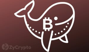 ที่อยู่ Bitcoin ใหม่กำลังเข้าใกล้จุดสูงสุดประจำปี ท่ามกลางการทำธุรกรรมของ BTC Whale ที่พุ่งทะลุหลังคา