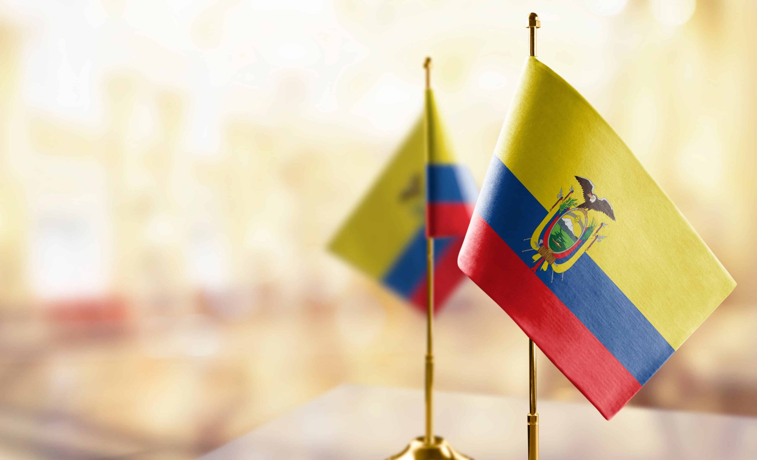 Novi predsednik Ekvadorja ponovno prepovedal posedovanje mamil | Visoki časi