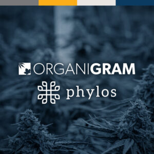 Organigram aumenta investimento em Phylos