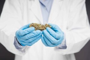 报告：90% 的弗吉尼亚医学患者在该州医疗市场之外获取大麻