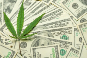 St. Louis Fails To Collect $500,000 in Pot Taxes