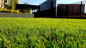The Carbon Cost of Lawns - The Carbon Literacy Project