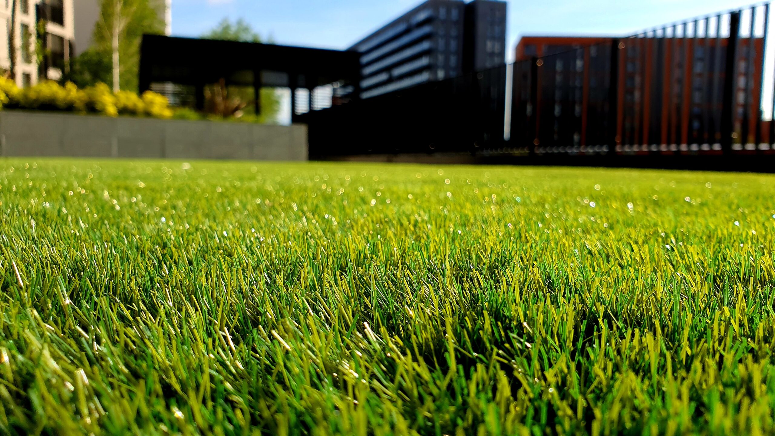 The Carbon Cost of Lawns - The Carbon Literacy Project