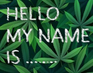 Le langage coloré des noms de variétés de cannabis - Honorez le passé unique et créatif des producteurs d'OG
