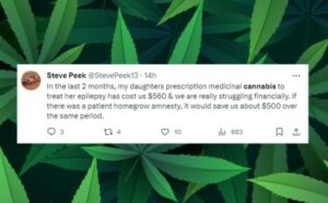 La douleur de payer - Rechercher du cannabis avec un budget limité parce que vous n'avez pas le choix