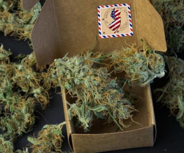 Sandt eller falsk, er det nu lovligt at flytte cannabis til et skema 3-drug at sende ukrudt med posten, UPS eller Fed Ex?