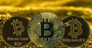 Κατανόηση των διαφορετικών τύπων Bitcoin