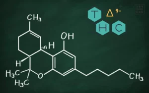 What is Delta 9 THC? - Benefits, Legality, and Common Questions!