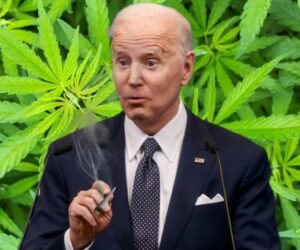 Co by się stało, gdyby prezydent Biden palił jointa? - Demokratyczny pretendent Dean Phillips mówi, że powinien spróbować marihuany!