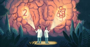Por qué el cerebro humano percibe mejor los números pequeños | Revista Quanta