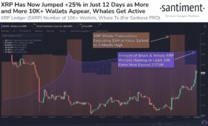 XRP Whale Activity Peaks At 3-Month High As Smart Money Buys