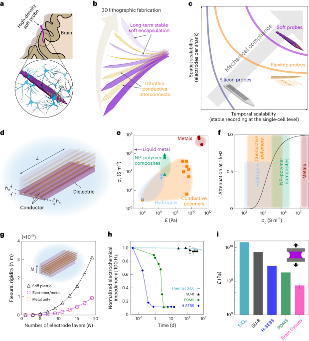 3D spatiotemporally scalable in vivo neural probes based on fluorinated elastomers - Nature Nanotechnology