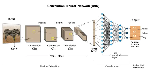 Image Classification Architecture of CNN