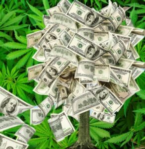 KI, Cannabiswissen, Venmo – Wie Kiffer im Jahr 2024 und darüber hinaus Geld verdienen können!