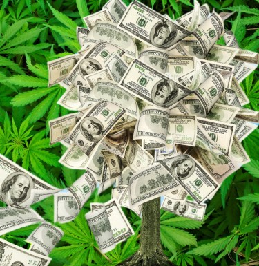 cannabis money making ideas