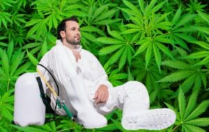 Alla naturliga cannabisbekämpningsmedel gjorda av....Cannabis? - CBDA och CBGA kunde stöta bort insekter, säger Cornell Study