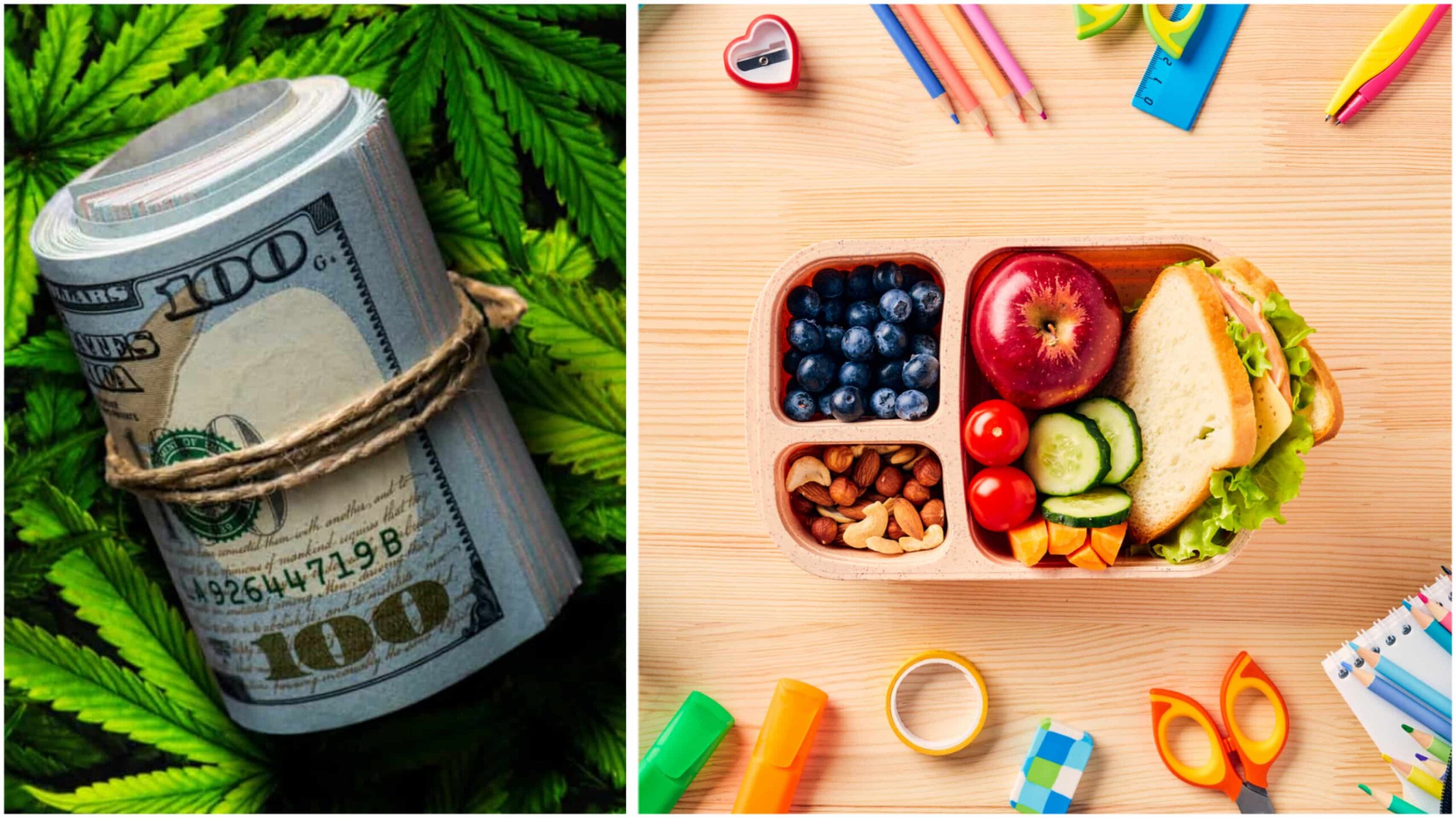 Arkansas Medical Cannabis Sales Tax Funds Makan Siang Sekolah untuk Anak-Anak