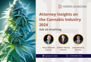 Aperçu des avocats sur l'industrie du cannabis 2024 : demandez-nous n'importe quoi (GRATUIT !)