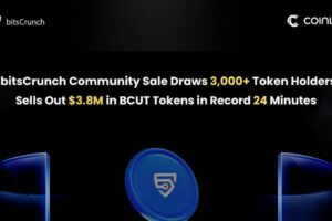 מכירת קהילת bitsCrunch BCUT נמכרת תוך 24 דקות שיא, וגייסה 3.85 מיליון דולר - TechStartups
