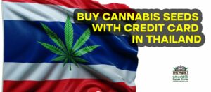 Compre sementes de cannabis com cartão de crédito na Tailândia