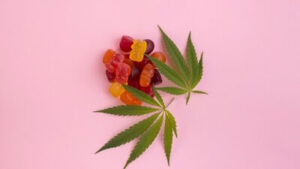 CAA SCO-undersökning avslöjar spik i cannabisförsämrad körning på ätbara varor i