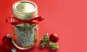 Cannabisconsumenten doen wat tijdens de feestdagen