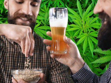 cannabis infused beer