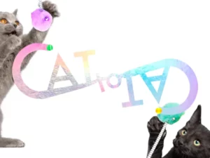 Cat-to-Cat, IoT-kissan lelut, jotka on valmistettu höyhenestä HUZZAH