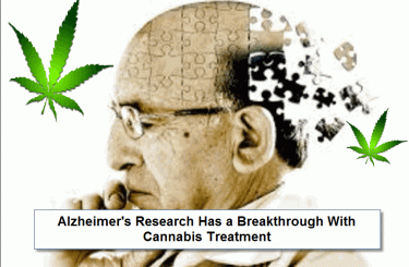 大麻治疗阿尔茨海默病