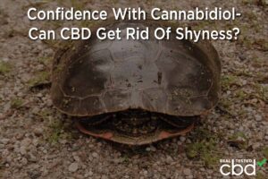 Förtroende med Cannabidiol - Kan CBD bli av med blyghet? - Anslutning till medicinsk marijuanaprogram