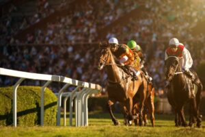 Kritikere siger, at Ireland Gambling Bill kan udslette hestevæddeløb