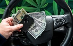 Staatsgrenzen überschreiten, um viel billigeres Gras zu kaufen? Sie können darauf wetten, dass 90 % der MMJ-Patienten in Virginia ihr Cannabis aus anderen Quellen beziehen
