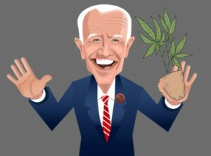 Don't Fall for the Biden Weed Pardon Bluff - Its a Big Bunch of Baloney