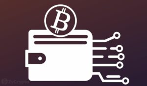 เอลซัลวาดอร์เปิดตัวโปรแกรม 'Freedom Visa' ตัวหนามูลค่า 1 ล้านเหรียญสหรัฐในรูปแบบ Bitcoin หรือ Tether
