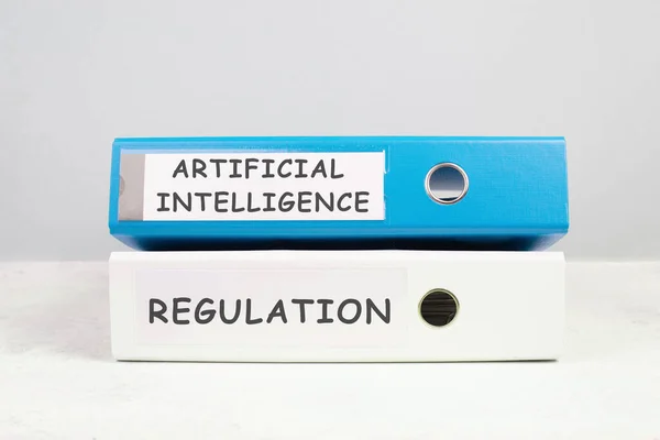 EU poses AI regulation